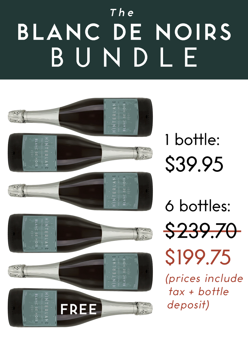 Blanc de Noirs 2021 Method Traditional – Hinterland Wine Company
