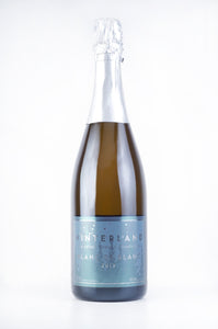 Blanc De Blancs Method Traditional 2013 - special offer from our private collection